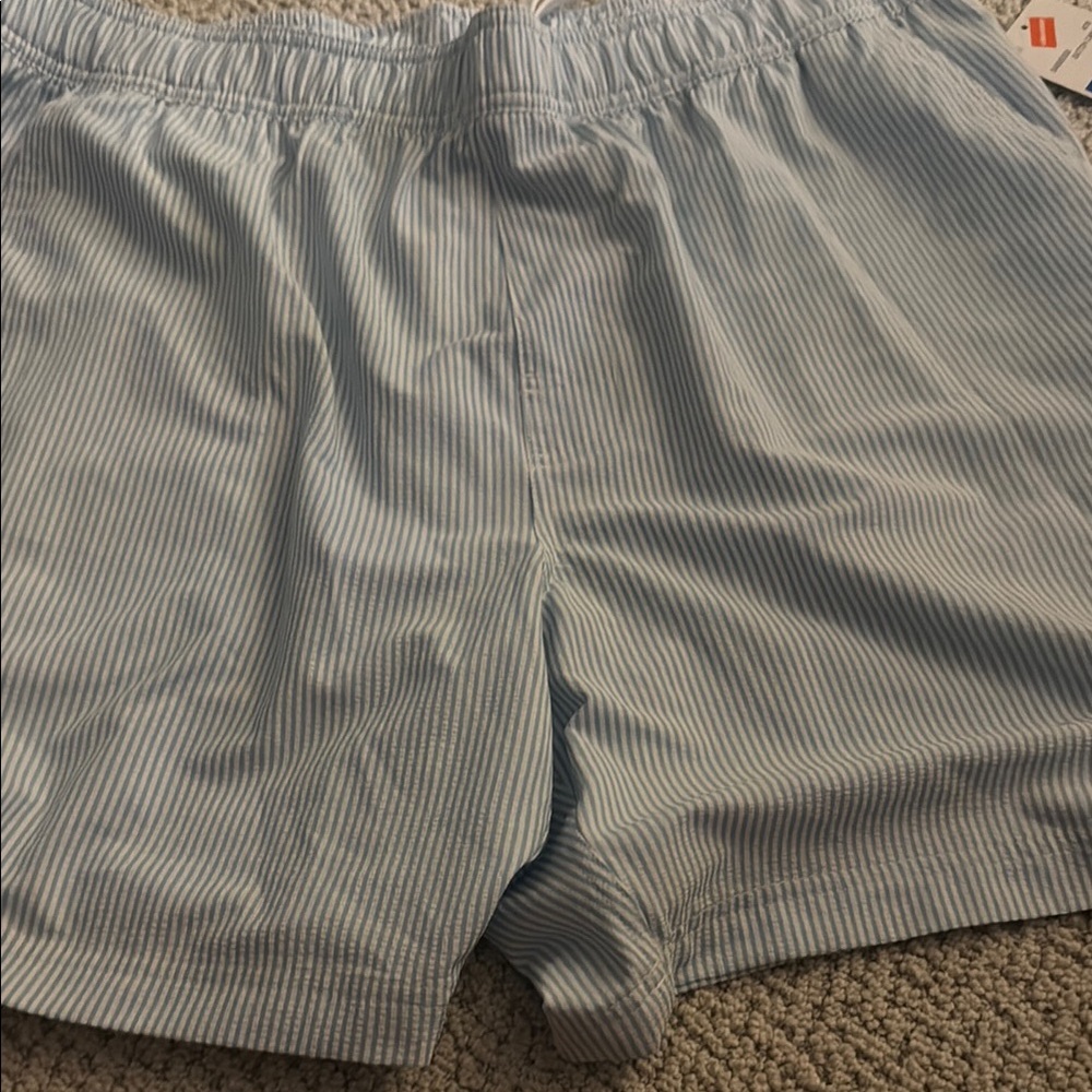 Southern Proper Blue and White Striped Shorts